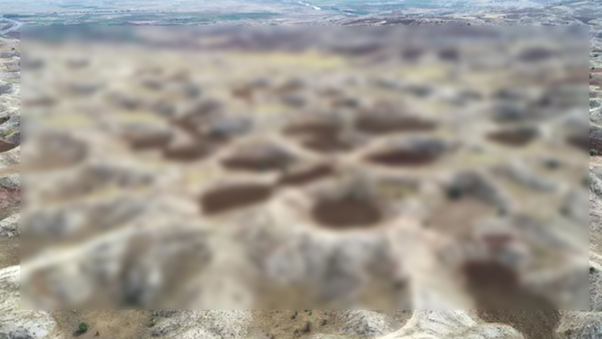 Köylülerin geçim kaynağı... Görenler hayrete düşüyor!