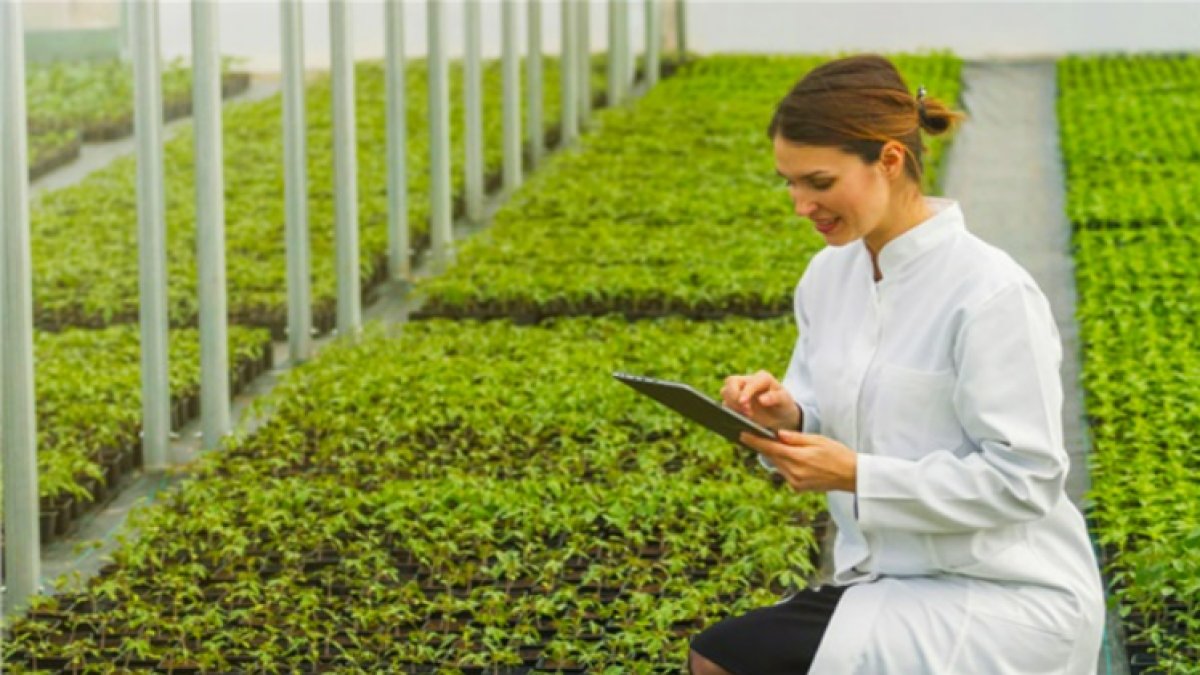 Ziraat Mühendisliği: Tarımın Bilimle Buluştuğu Nokta