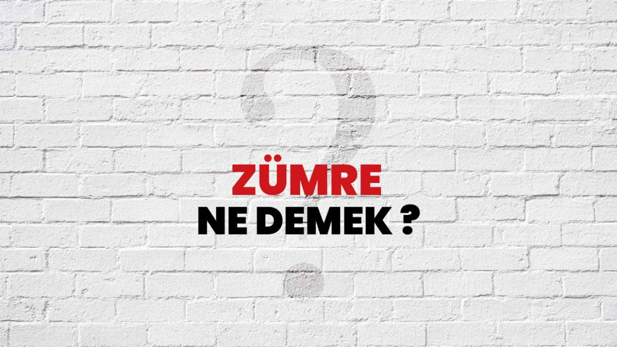 Zümre Ne Demek?- Türkçede Anlamı ve Örnekler
