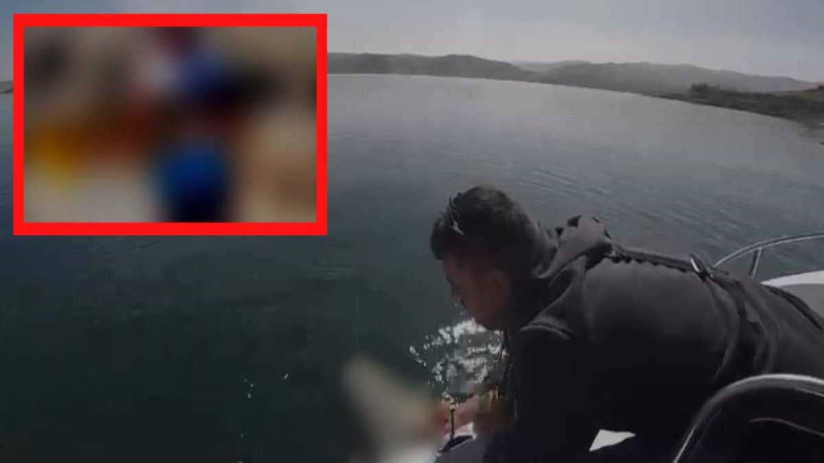 40 kiloluk dev canavar! Keban barajından öyle bir şey tuttu ki balık demeye bin şahit ister