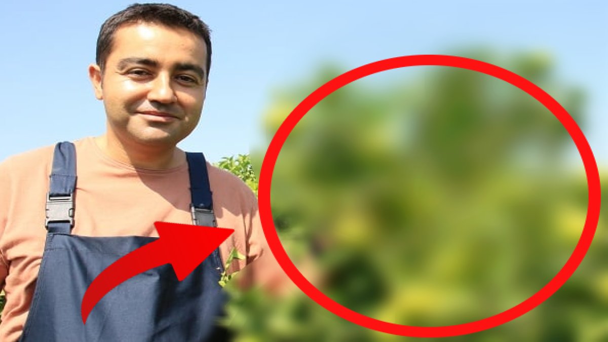 Şehirde öğrenip köyünde yaptı, yüksek fiyatına rağmen ekmek gibi satıyor, o kadar şifalı ki kabuğuyla bile yeniliyor