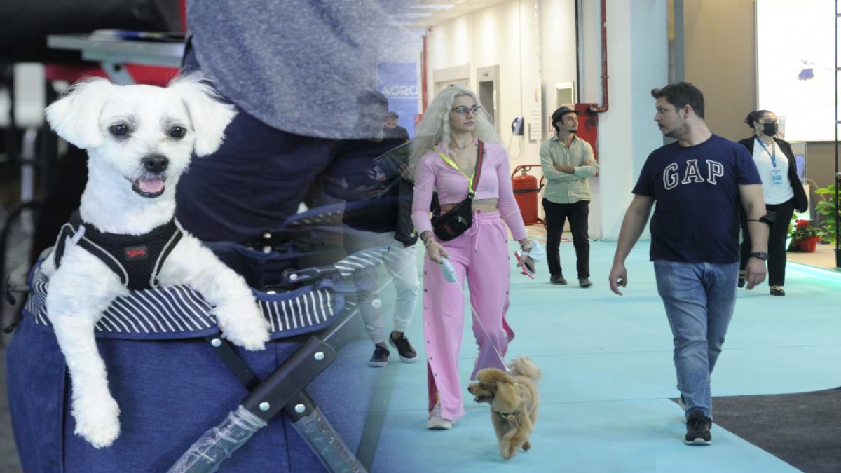 Evcil hayvanı olanlar buna bayılacak! Evcil hayvanlar fuarı yarın başlıyor, 120 ülkeden katılım olacak