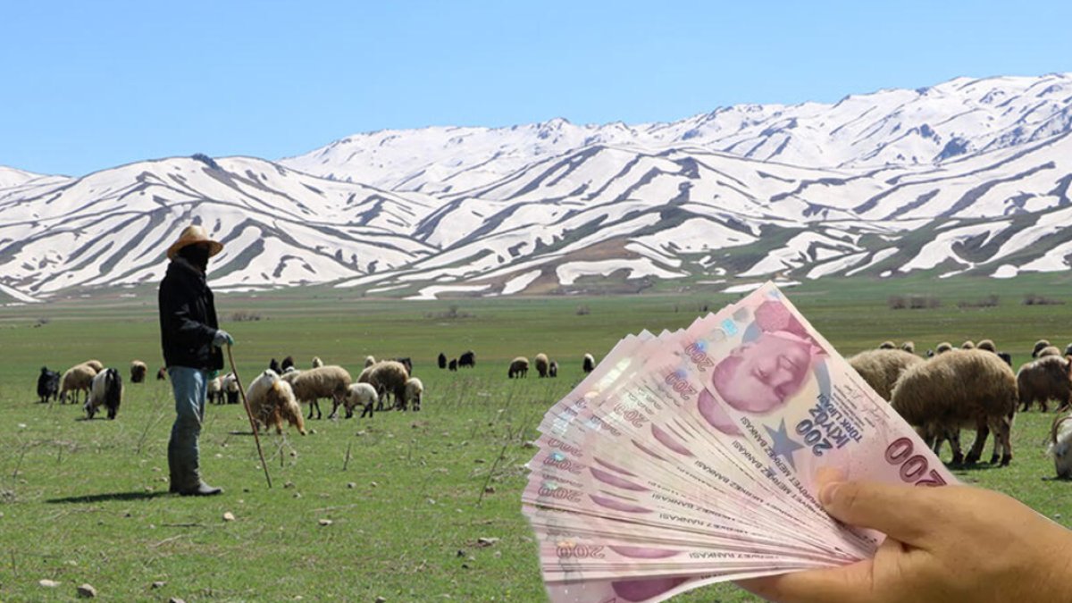 Bu işi yapanlar aylık 35 bin TL maaş alıyor! Üstelik 6 ayda tatil: Buna rağmen çalışacak işçi bulamıyorlar