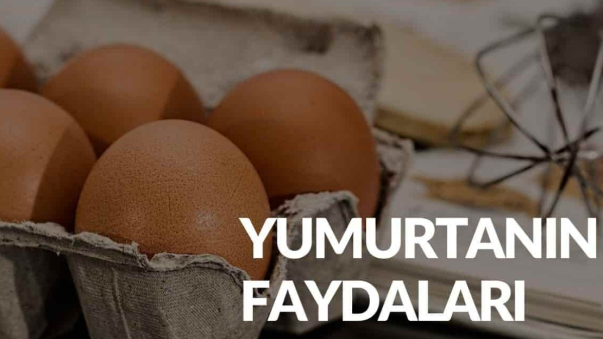 Yumurtanın Faydaları: Sağlığınıza İyi Gelen Bir Protein Kaynağı