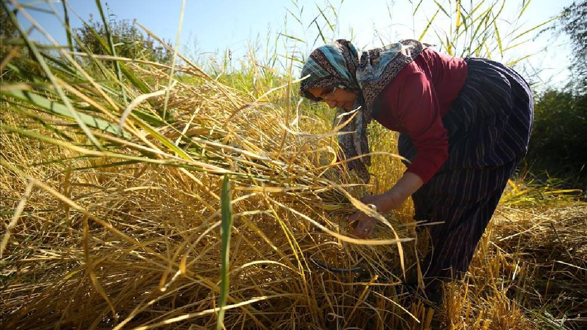 Geleneksel yöntemlerle üretiliyor! Yurt dışından bile taliplisi çıkıyor! Her yemekte bulunuyor lezzeti ise çömlek patlatıyor