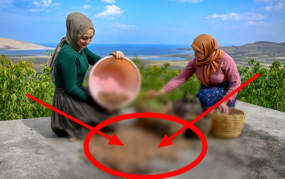 Van'da yetişiyor; İstanbul, İzmir, Ankara ve bir çok ile gönderiliyor! Tonlarca ürünü sadece kadınlar topluyor