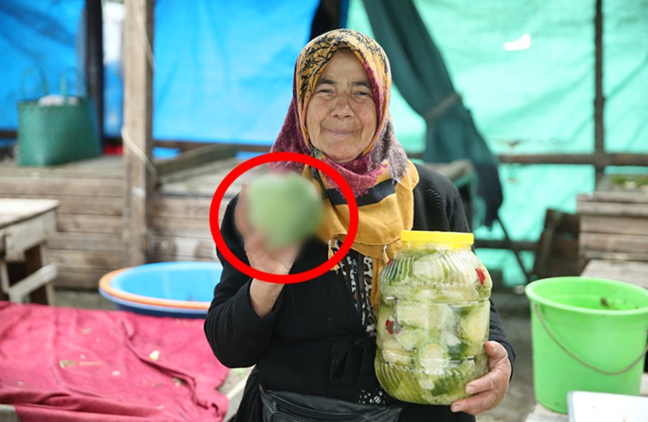 Yılda ortalama 3 bin ton üretiliyor! Kilosu 40 TL... Bunu eken servet biçiyor