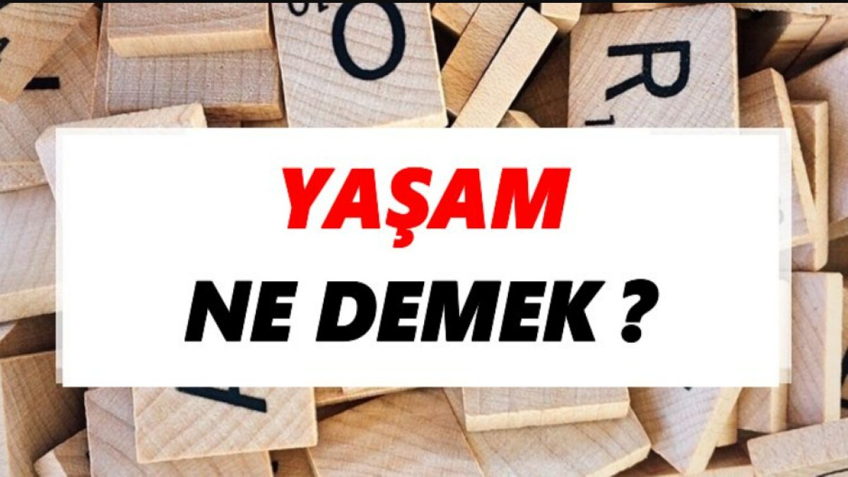 Yaşam Nedir: Anlamı, Önemi ve İnsan Hayatındaki Rolü