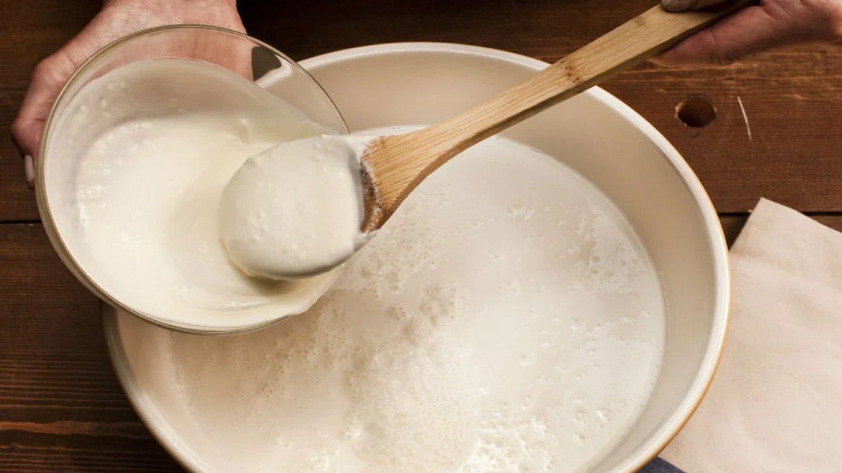 Mayası tutmayan yoğurdu kurtarmanın püf noktası! Bu formülle yoğurdunuz taş gibi olacak