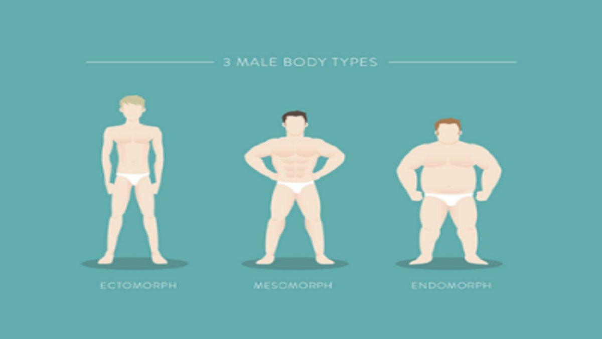 Vücut Tipleri: Sağlığınıza Uygun Stilin Anahtarı