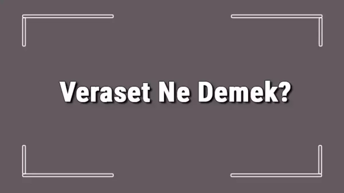 Veraset Sistemi Nedir: Türk Hukukunda Miras Devri