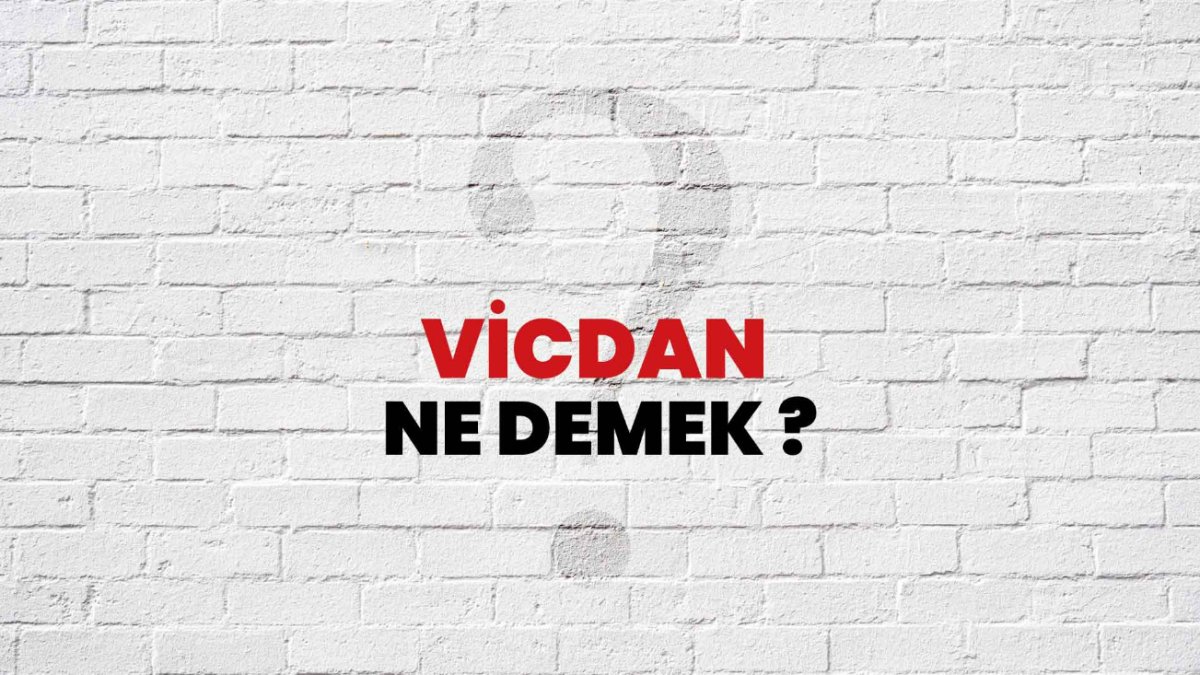 Vicdan Nedir?