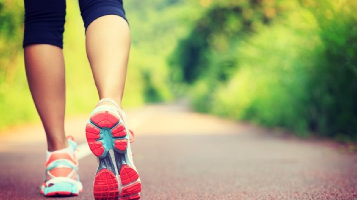 10 bin adım kaç km