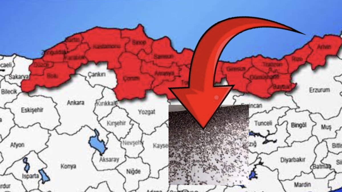 İstila Ordu’dan katlana katlana Giresun, Gümüşhane, Çorum, Amasya, Bayburt’a ilerliyor! Hayvan değil zehir deposu! Acil önlem
