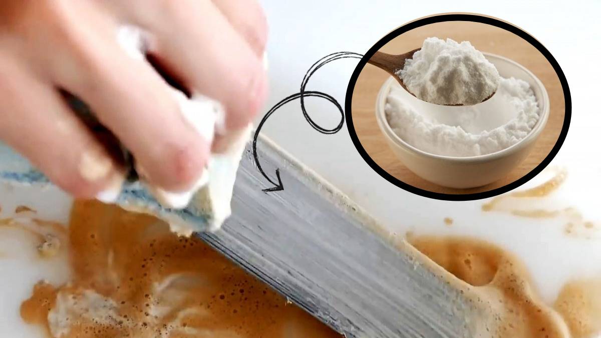 Paslanan ve körelen bıçakları jilet gibi yapacak formül! Üzerine biraz sürünce pastan eser bırakmıyor