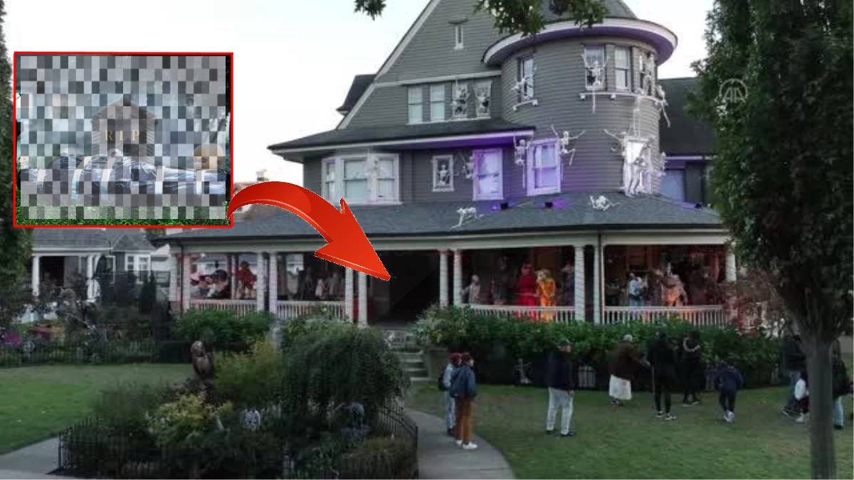 Bahçedeki silueti dekor zannetti çim biçme makinesiyle üstünden geçti! Bahçıvanın dekor zannettiği o şey bakın ne çıktı?