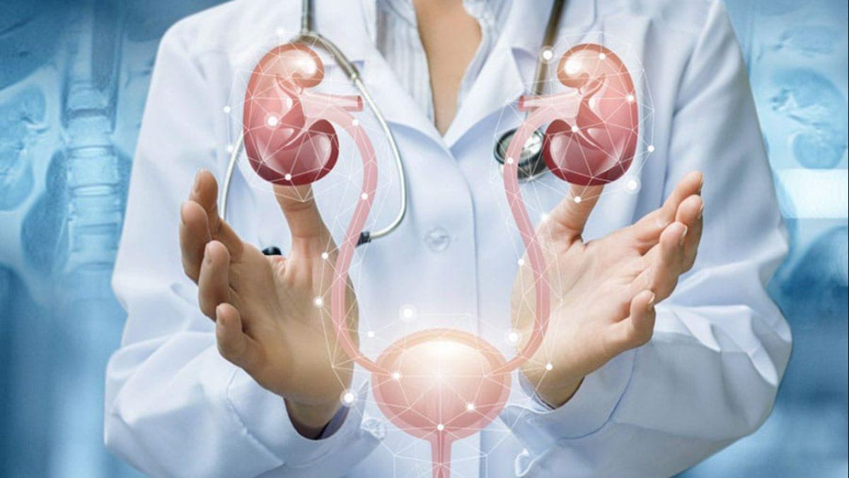 Üroloji Nedir? Vücudumuzun Gizemli Dünyasına Bir Bakış