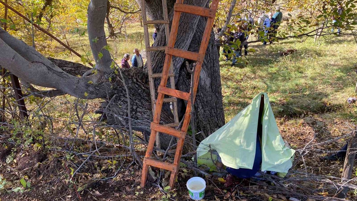 Ceviz ağacından demir çubuğun üzerine düştü! Hayatını kaybetti
