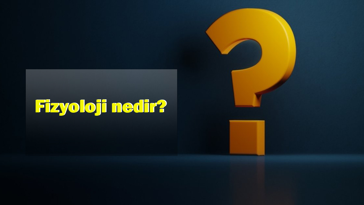 Fizyoloji nedir?