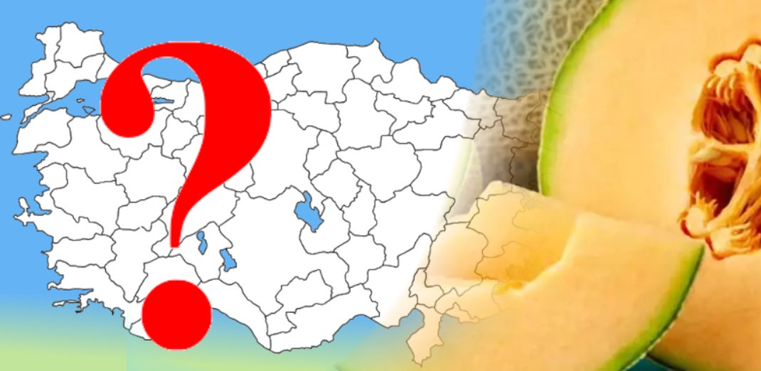 Denizli, Konya, Ankara, Antalya, Bursa, Diyarbakır, Manisa, Balıkesir... En tatlı kavun o ilde yetişiyor!