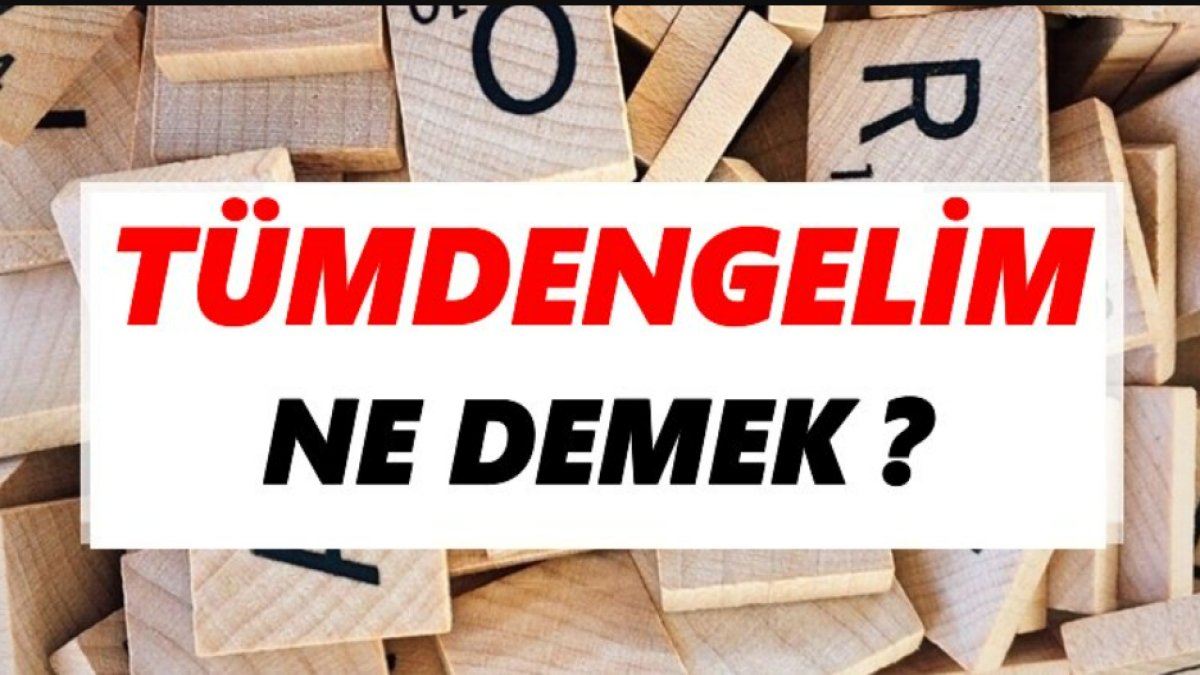 Tümdengelim Nedir: İşte Ayrıntılı Bir İnceleme