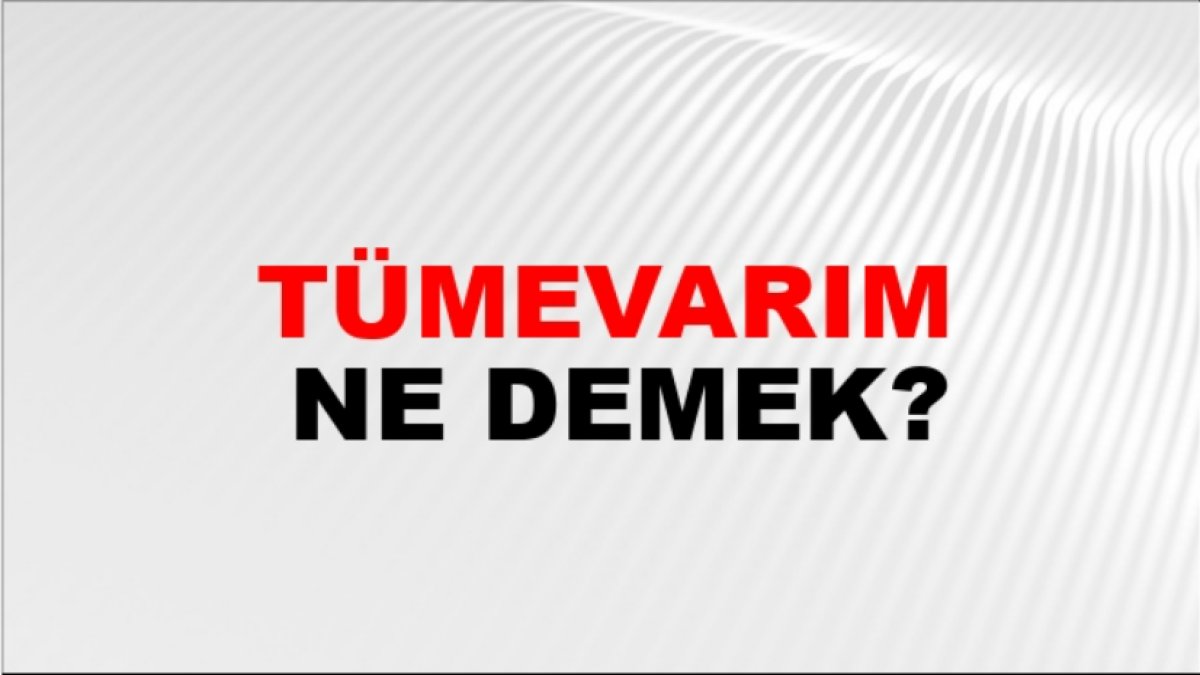 Tümevarım Nedir: Bilinçaltımızın Gizemli Dünyası