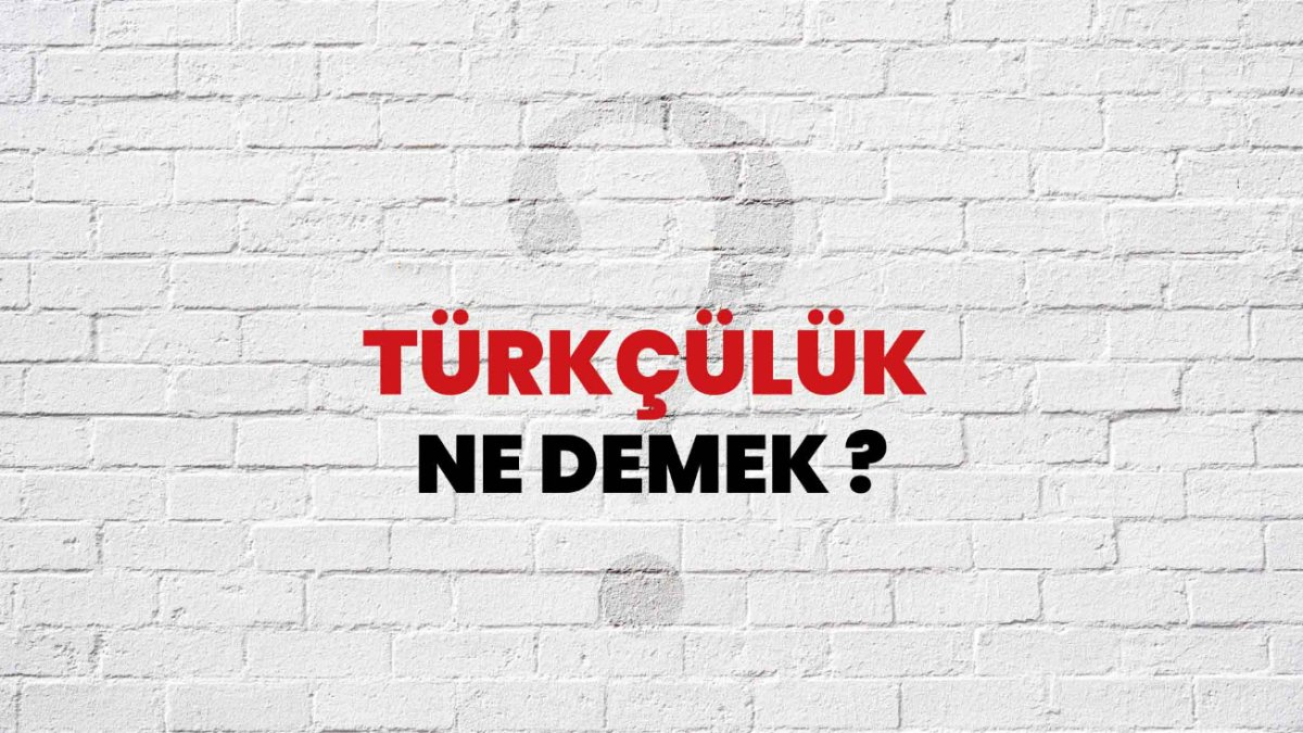 Türkçülük Nedir? Türkçülüğün Tarihçesi ve Önemi