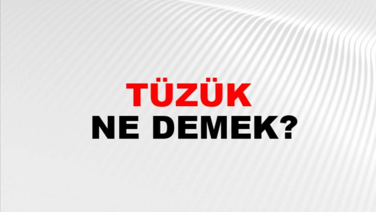 Tüzük Nedir: Kuralların Belgesi