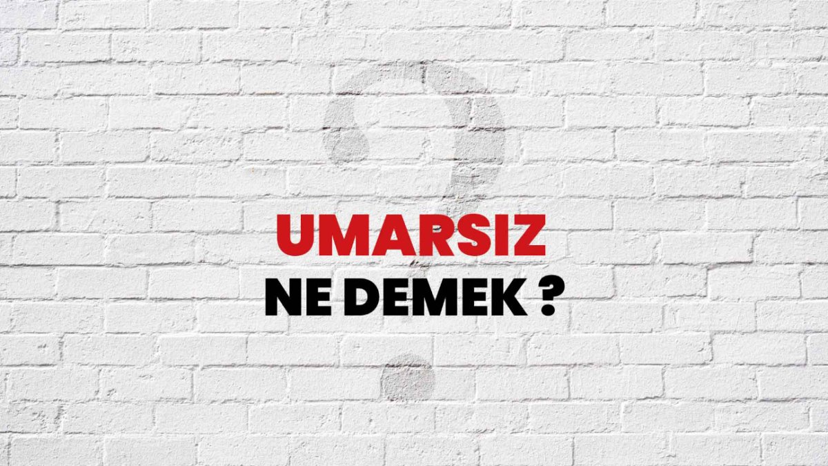 Umarsız Ne Demek? - Türkçede Bir Dil İfadesi Hakkında Bilmeniz Gerekenler