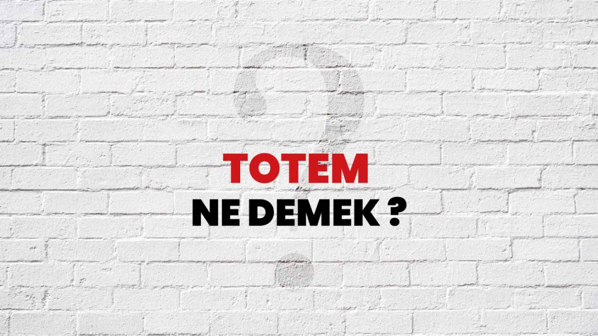 Totem Ne Demek: Türk Kültüründe Kökleri ve Anlamları