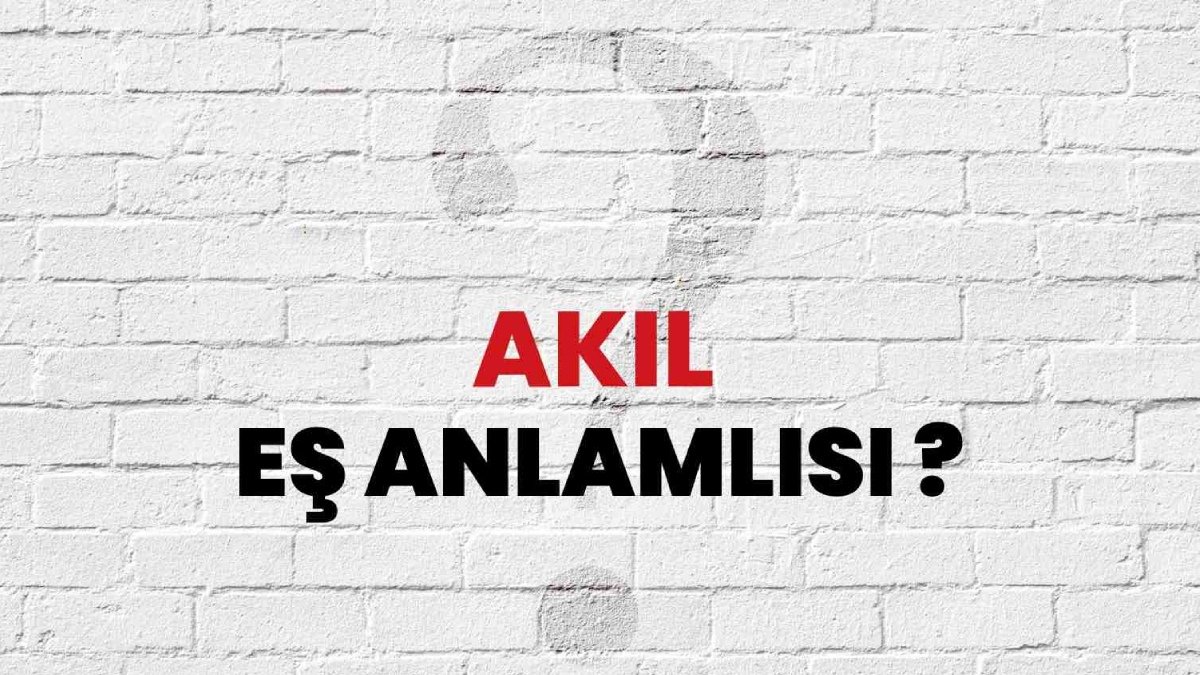 Akıl eş anlamlısı