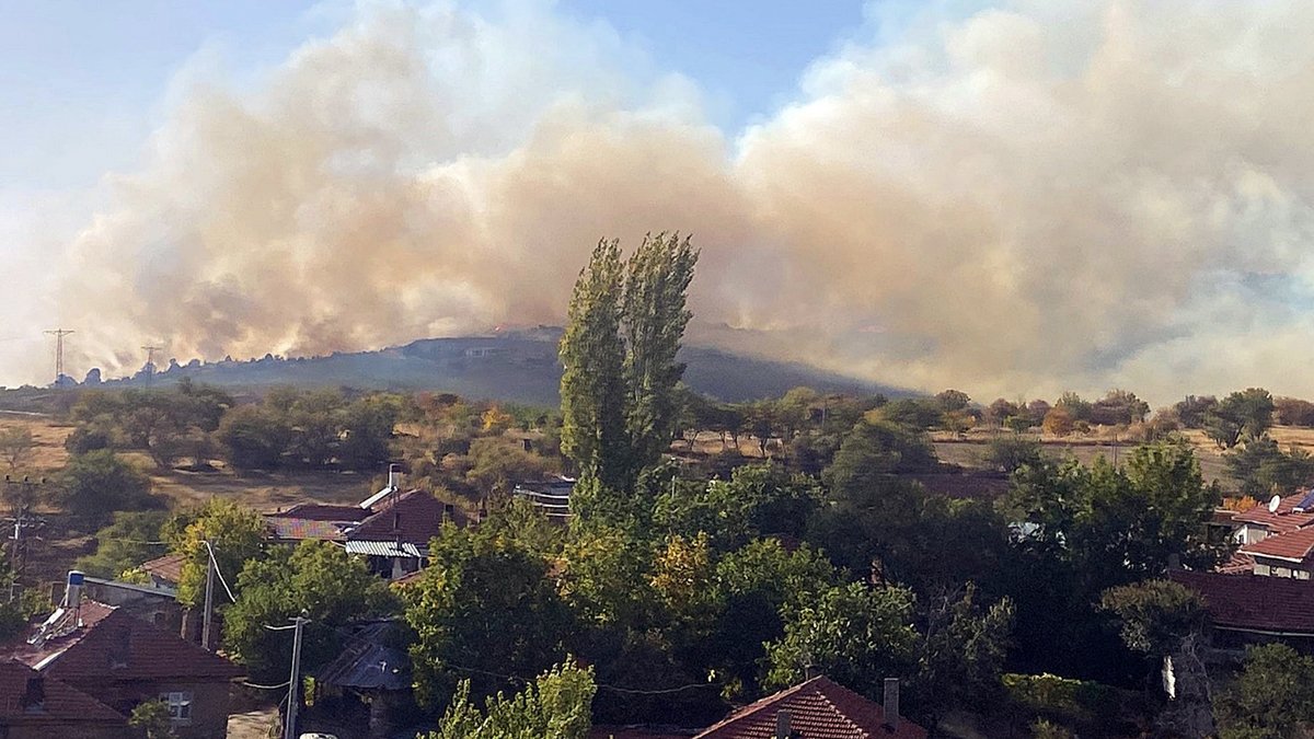 Eskişehir'de orman yangını