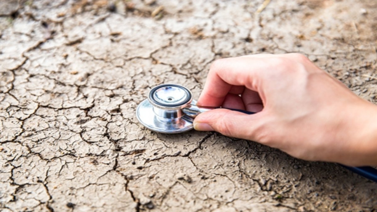 Toprak Kirliliği Nedir: Sorunların ve Çözümlerinin Derinlemesine İncelenmesi