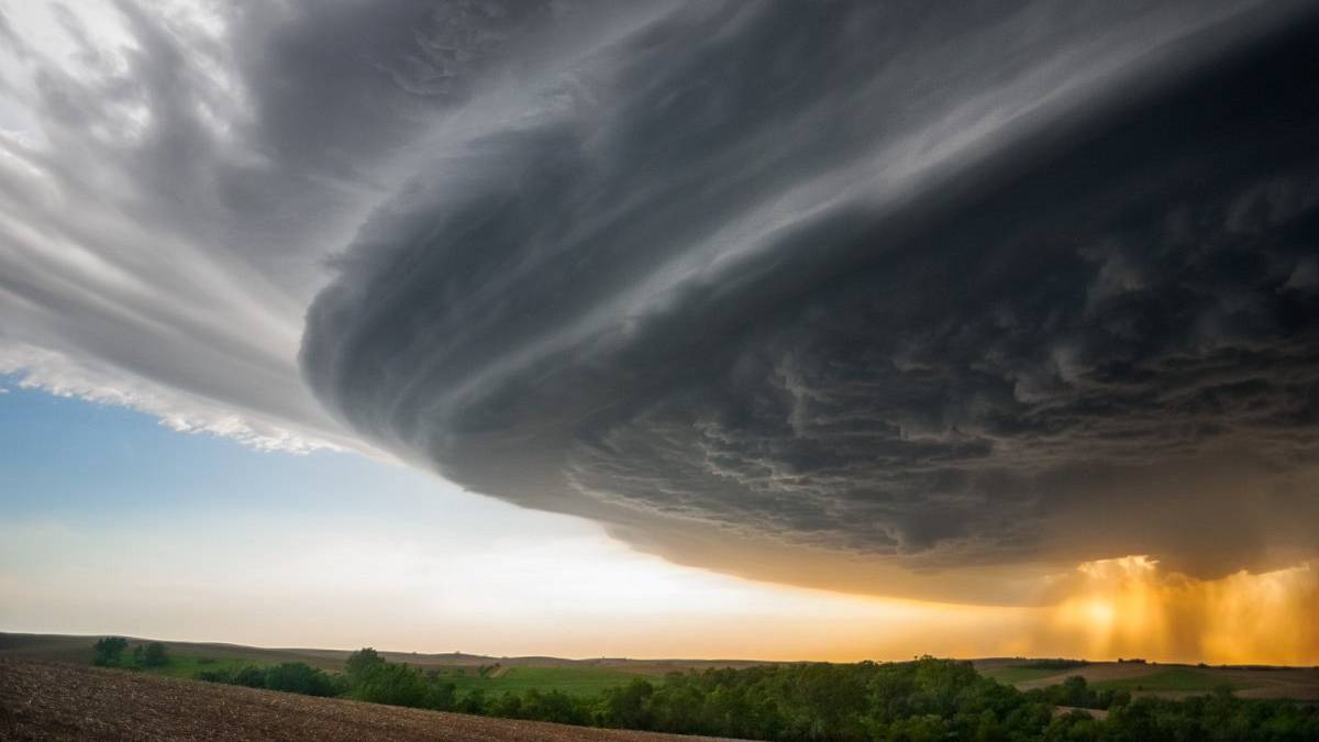 Deprem, El Nino, kuraklık derken bir bu eksikti! Her şeyi kaybedebiliriz
