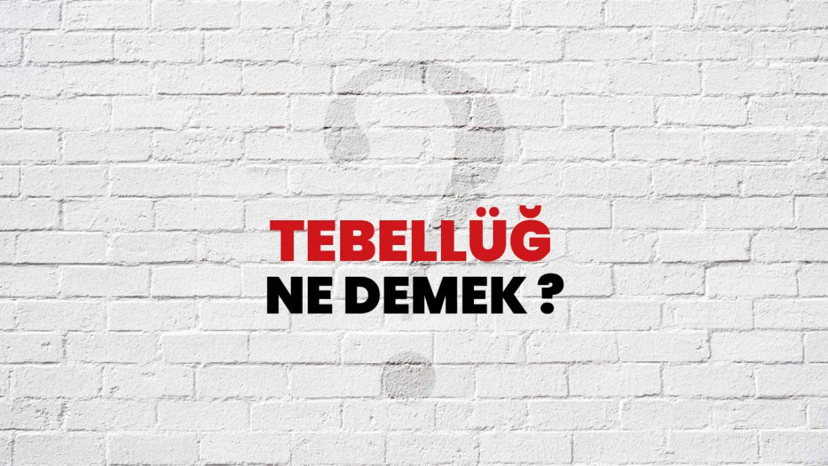 Tebellüğ Ne Demek? - Hukuki Bir Terim Olarak Açıklama