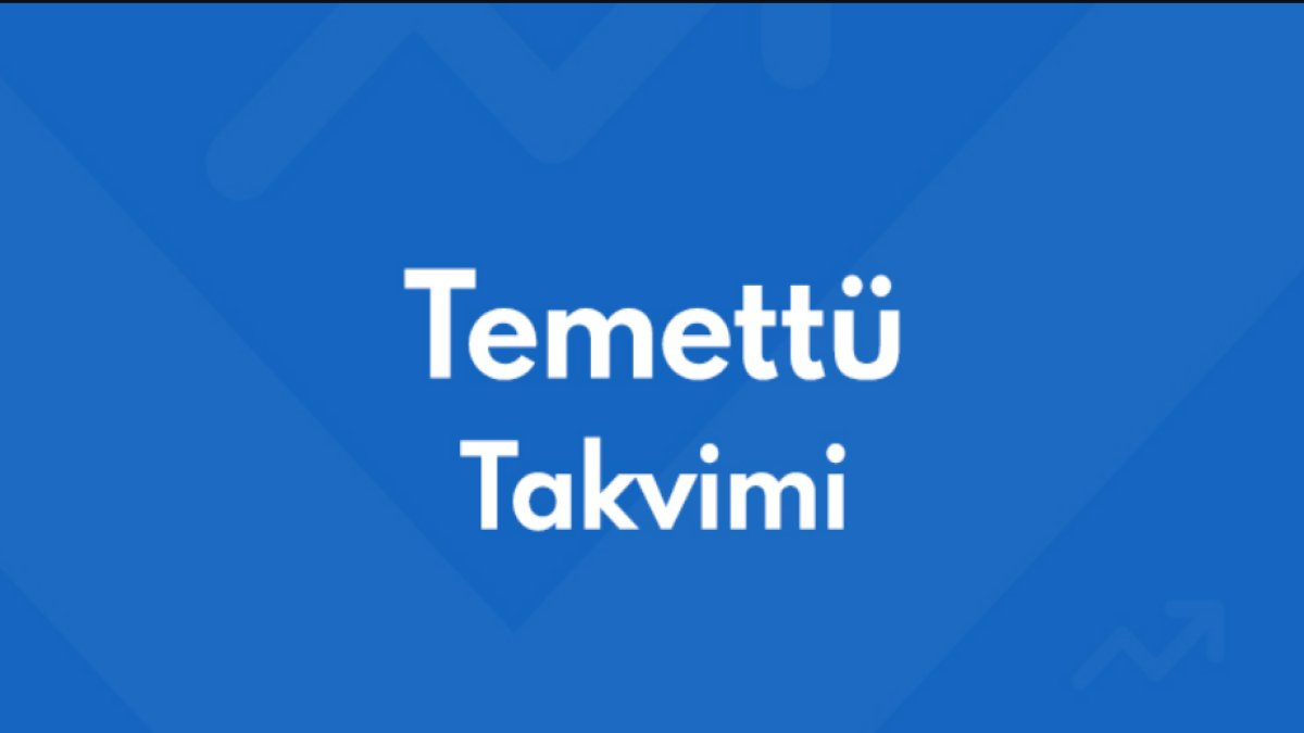 Temettü Takvimi: Yatırımcılar İçin Kâr Dağıtım Tarihlerini Planlama Rehberi