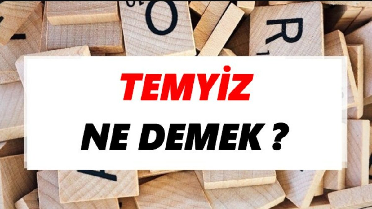 Temyiz Ne Demek: Türk Hukukunda Bir Terim İncelemesi