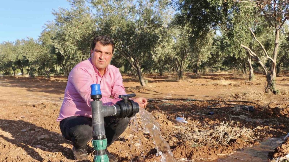 ‘Ekilmez’ denileni ekti! Hem parası hem hasadı bol