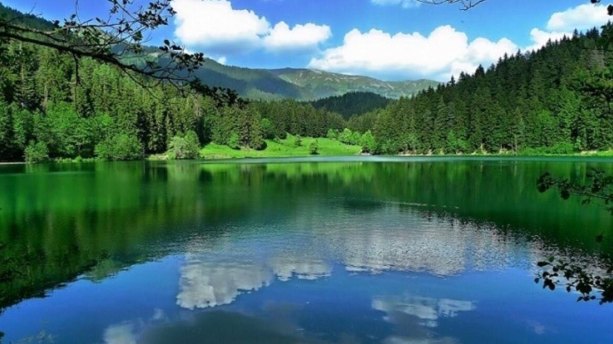 Gören Alaska ormanları sanıyor ama burası Türkiye'de! Şehrin içindeki cennet: Burayı çok az kişi biliyor