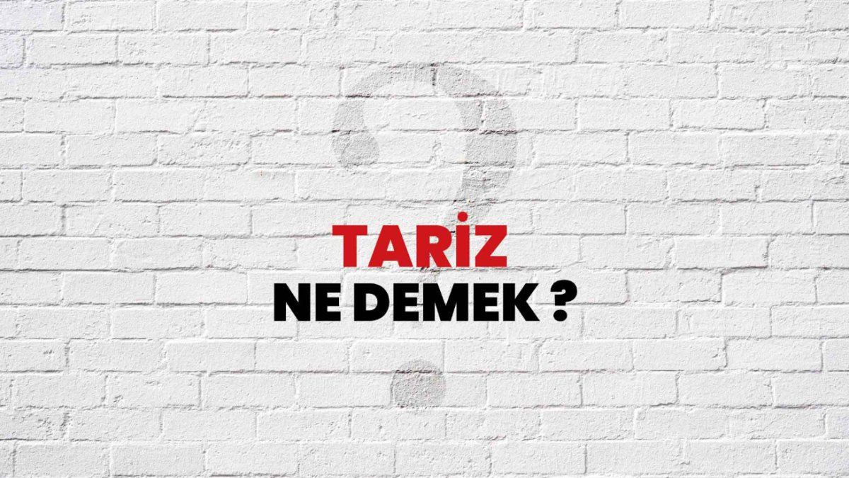 Tariz Ne Demek? Bilmeniz Gereken Her Şey