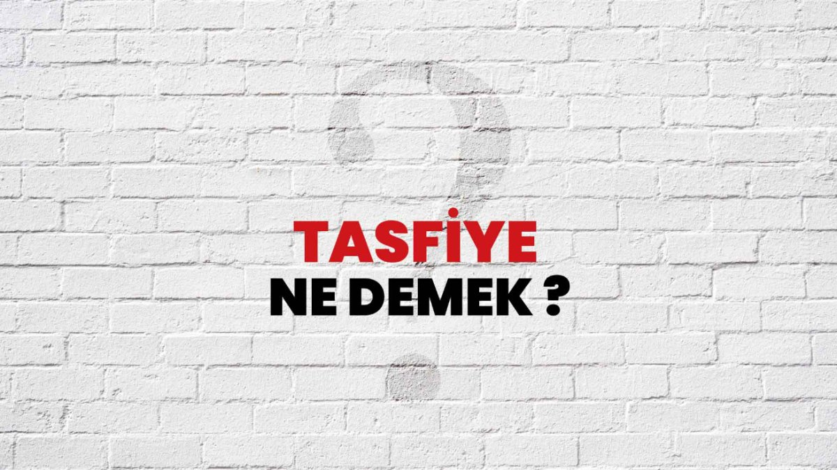 Tasfiye Ne Demek?