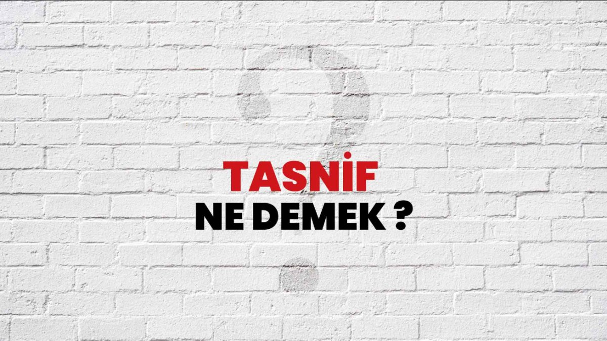 Tasnif Ne Demek? - Türkçede Anlamı ve Önemi