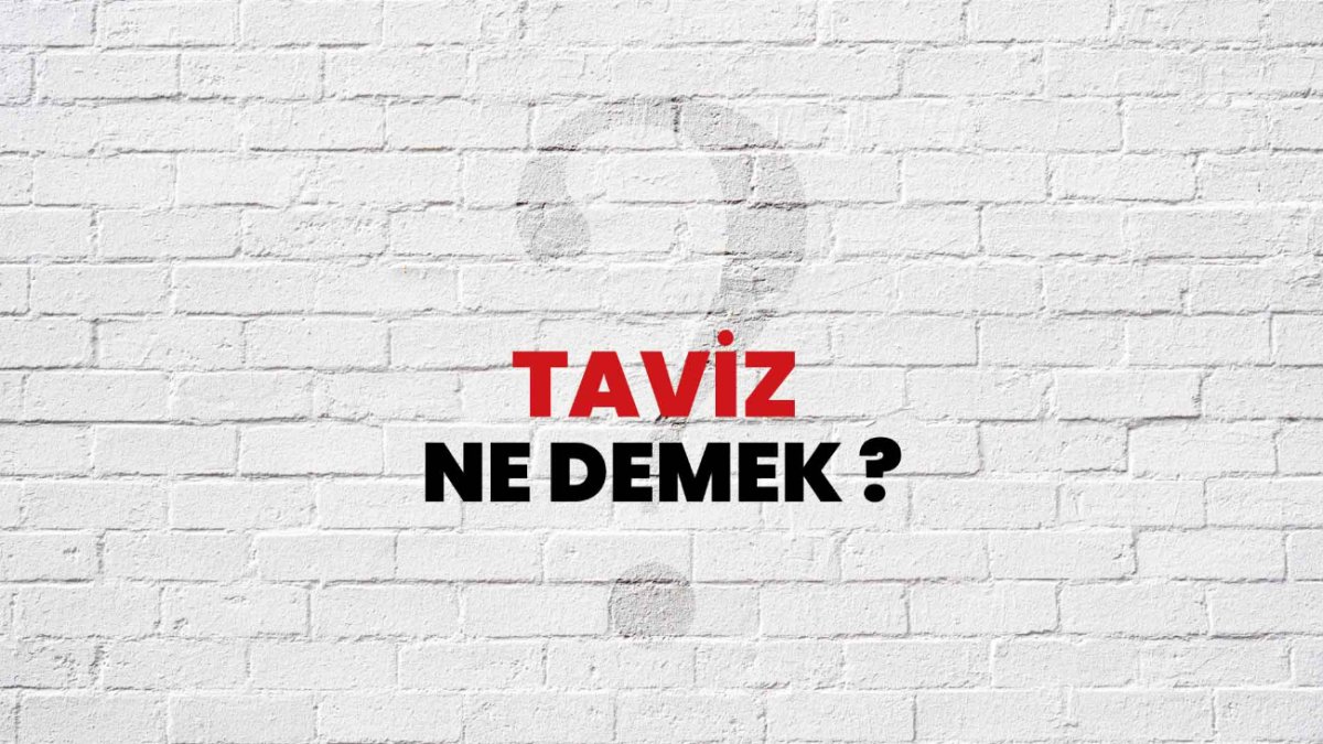 Taviz Ne Demek?
