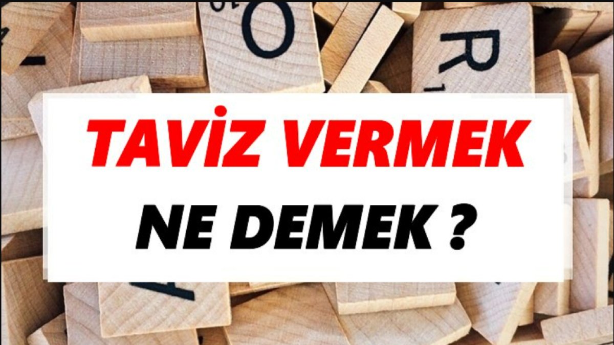 Taviz Vermek Ne Demek: Anlamı ve Örnekler