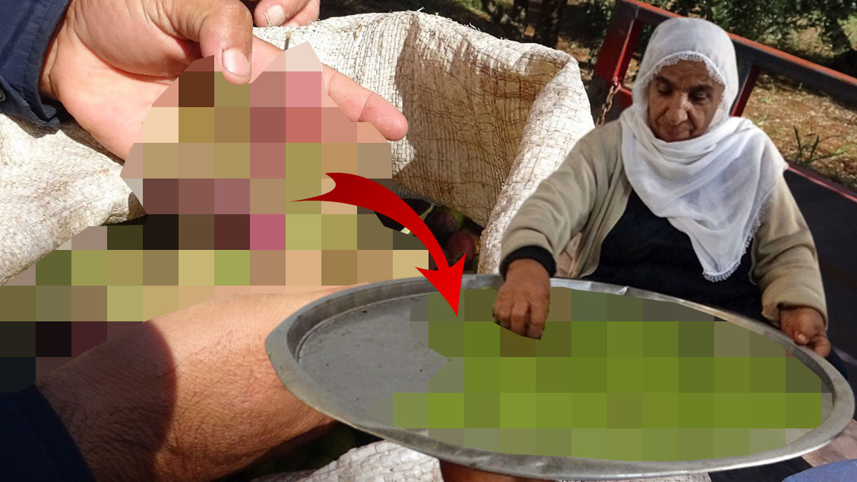 Hasat başladı, kapış kapış satılıyor: Kilosu 80 TL! Bağışıklığı güçlendiriyor, kanser riskini azaltıyor