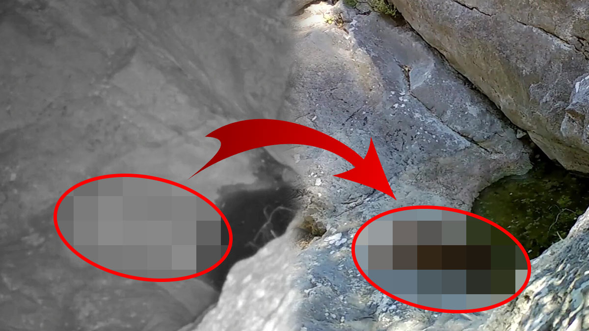 'Karakulak' kod adıyla biliniyor: Dağda su içerken yakalandı! Kendini gizlemekte ustaydı, yakayı ele verdi