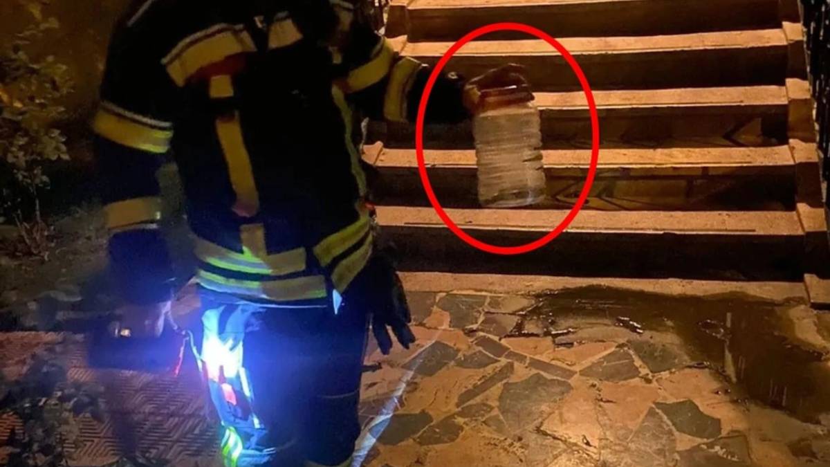 Burası Amerika değil Türkiye! Eve girmeye çalışırken yakalandı, camları ve pencereleri sıkı sıkı kapatın. İstila başladı!