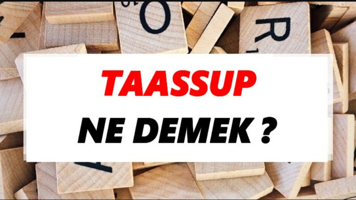 Taassup Ne Demek?