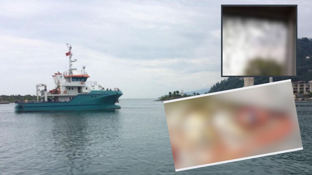 İstila şimdi de Karadeniz'in sularına bulaştı! Kokarca böceğinin ardından yeni tehlike... Fransa'dan geldi Karadeniz'i vurdu