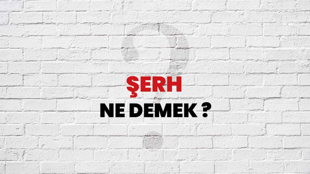 Şerh Nedir? İslam Hukukunda Şerh Hakkında Her Şey